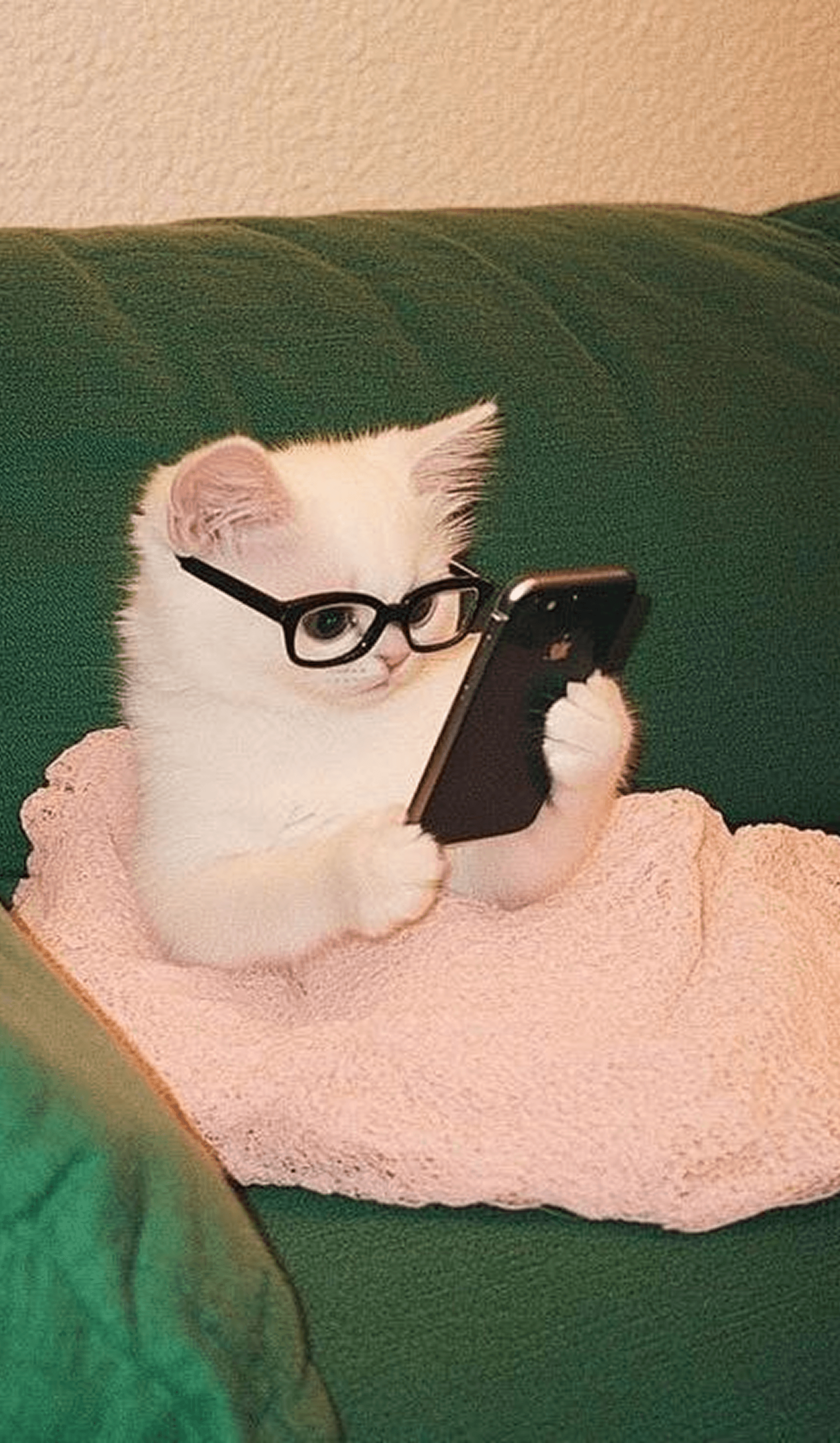 Белый кот с очками и телефоном